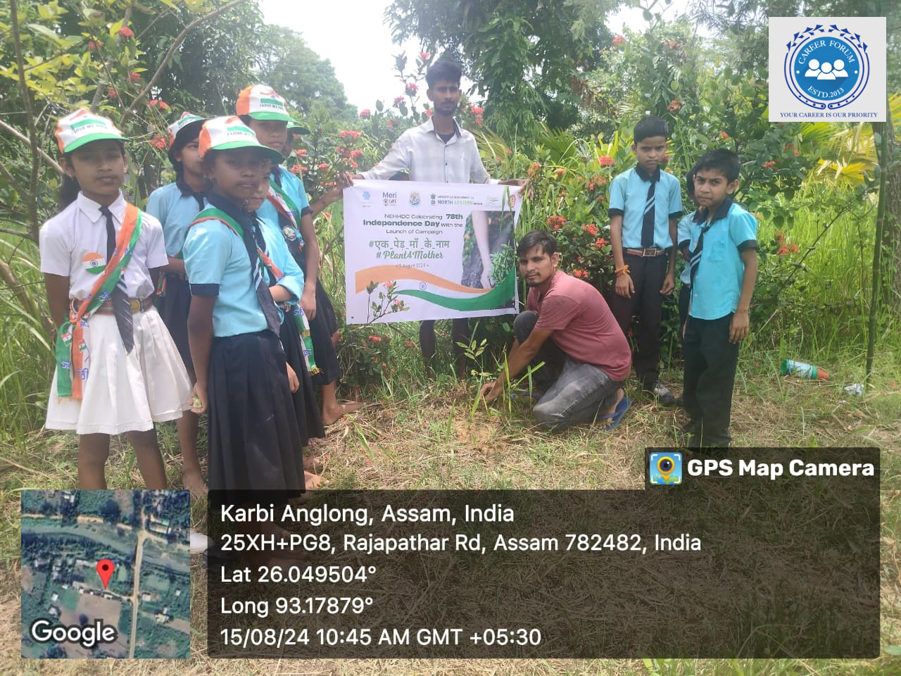 Tree plantation